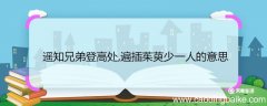 遥知兄弟登高处,遍插茱萸少一人的意思 遥知兄弟登高处,遍插茱