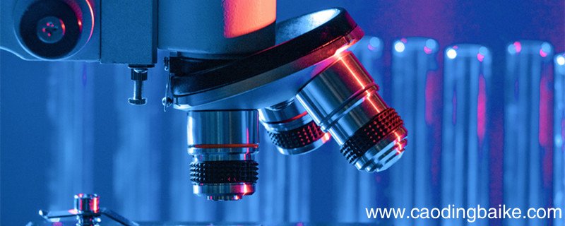 抑制剂和激活剂对酶活性的影响 抑制剂和激活剂对酶活性的影响结果