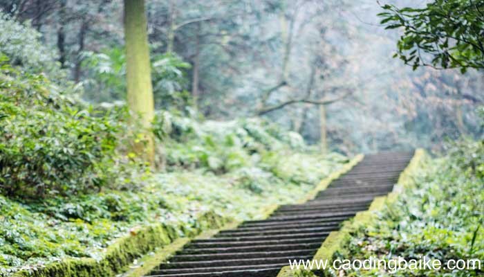 游褒禅山记所得了什么 游褒禅山记是谁写的