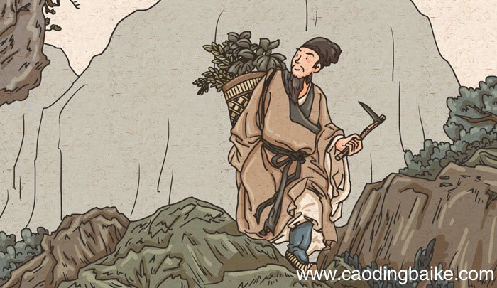 本草经集注是谁的 本草经注集是谁编写的