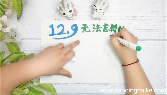 纪念一二九手抄报 纪念一二九画报