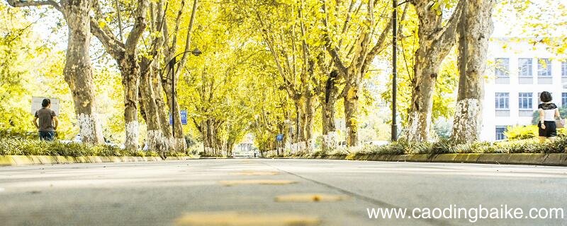 四川大学锦江学院学费 锦江学院学费多少