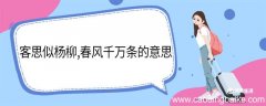 客思似杨柳春风千万条的意思 客思似杨柳春风千万条翻译