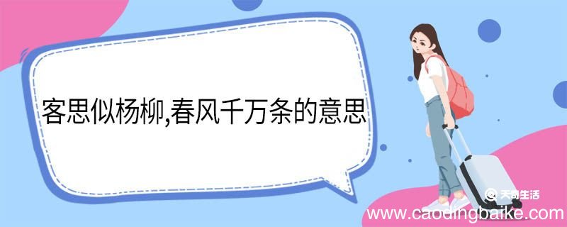 客思似杨柳春风千万条的意思 客思似杨柳春风千万条翻译