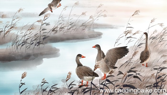 鸿鹄传书源自哪个历史故事 鸿鹄传书出自哪个历史故事