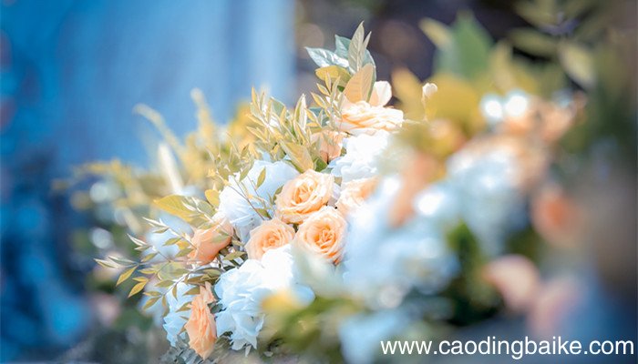 芳林新叶催旧叶,流水前波让后波的翻译 流水前波让后波这句话蕴涵的哲理是