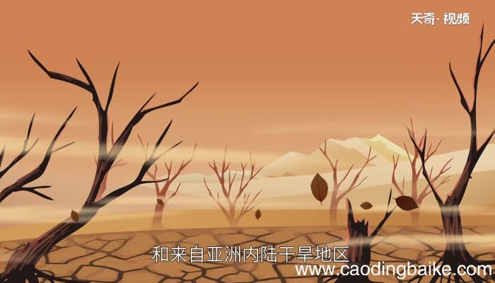 中东气候类型以什么气候为主中东气候类型主要是什么气候