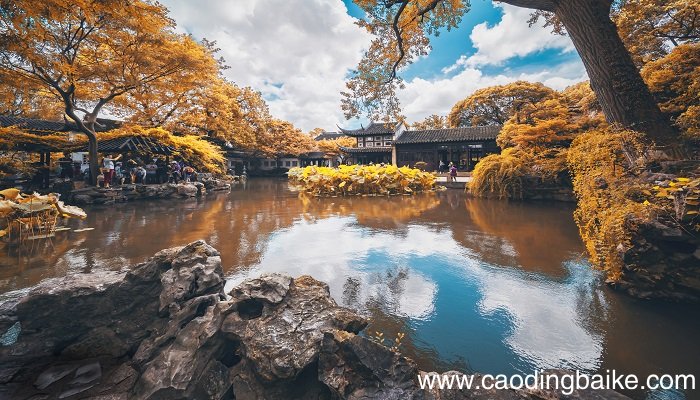 园林专业与园艺专业的区别 园林与园艺专业的区别