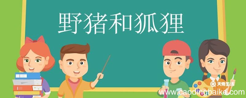 野猪和狐狸告诉我们了什么道理 野猪和狐狸告诉我们的道理