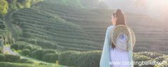 一什么的斗笠 一什么的斗笠填空词语