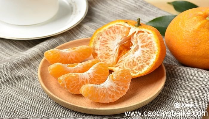 橘生淮南则为橘生于淮北则为枳出自哪篇文章 橘生淮南则为橘生于淮北则为枳出自哪