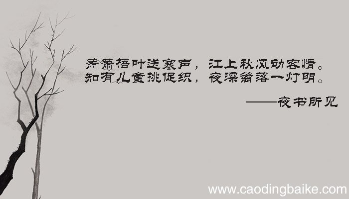 夜书所见呈现的是什么画面 夜书所见呈现的画面是什么