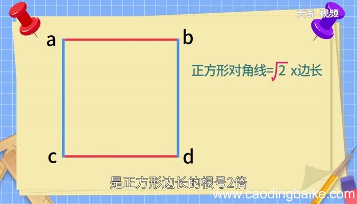 正方形的对角线与边长的关系 正方形的对角线与边长有什么