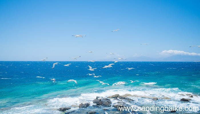 海洋性气候特点 海洋性气候特点有哪些