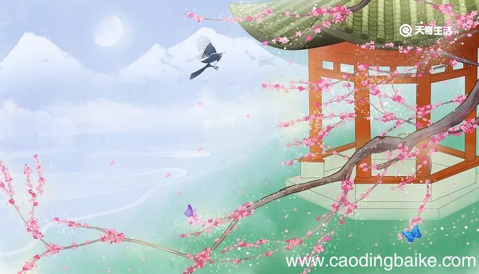 宿新市徐公店这首诗描绘了什么 宿新市徐公店古诗意思