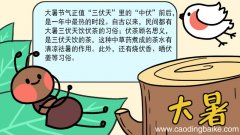 大暑手抄报画法大暑手抄报怎么画