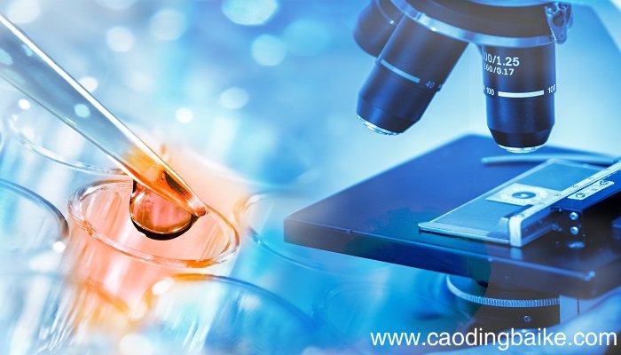 核糖体的作用 核糖体蛋白质的功能