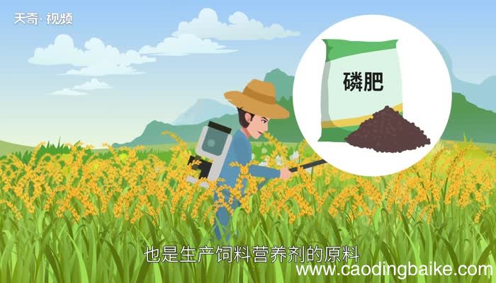 磷酸化学式 磷酸化学式是什么