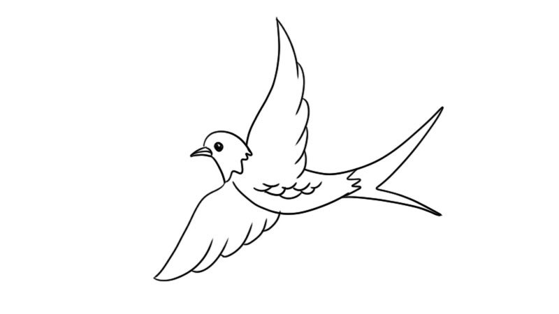 小燕子简笔画怎么画小燕子简笔画的画法