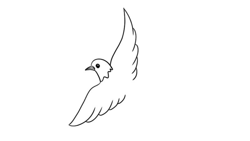 小燕子简笔画怎么画小燕子简笔画的画法