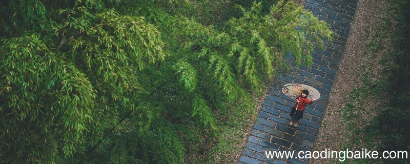一蓑烟雨任平生表达了怎样的人生态度 一蓑烟雨任平生表达的人生态度
