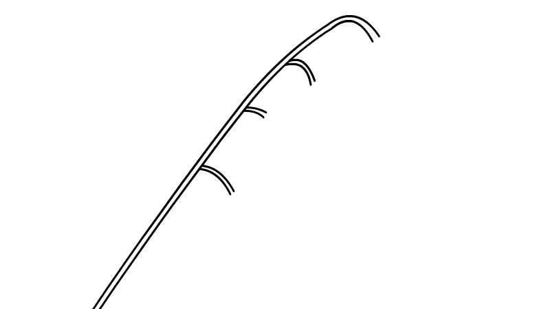 燕麦简笔画怎么画燕麦简笔画的画法