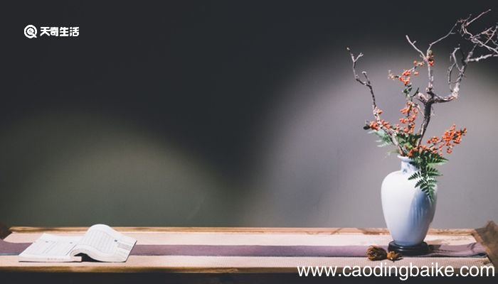 驿路梨花拼音 驿路梨花是什么意思