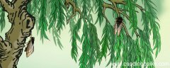 垂緌饮清露全诗的意思 垂緌饮清露全诗的意思