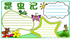 昆虫记手抄报初二