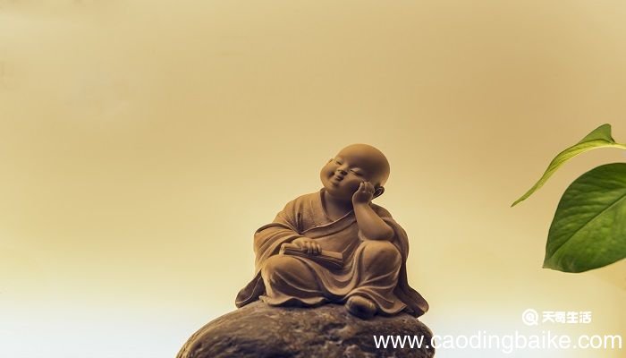 于无情处知有情于有情处知众生的意思 什么叫有情众生