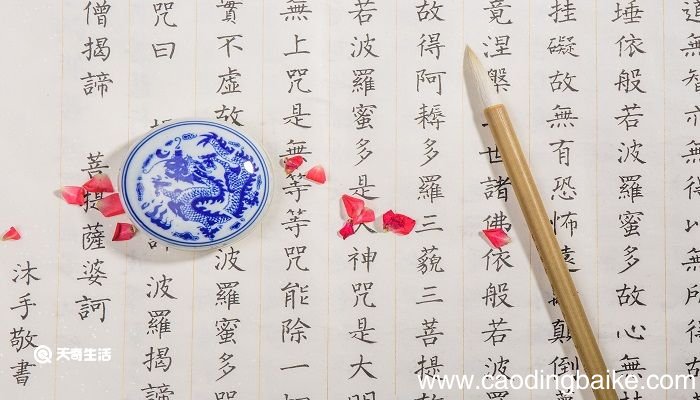 于无情处知有情于有情处知众生的意思 什么叫有情众生