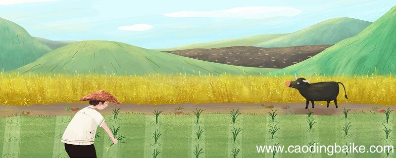 齐民要术在农学史上的地位 《齐民要术》在中国农学史上有着什么样的地位