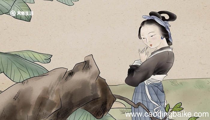 春思贾至赏析 春思贾至翻译及赏析