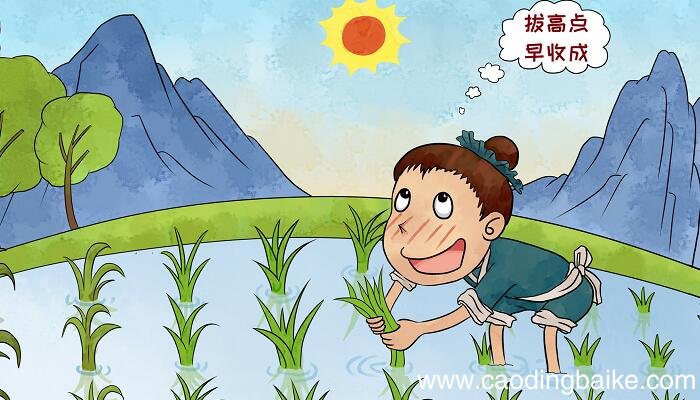 揠苗助长的歇后语 揠苗助长的下一句是什么
