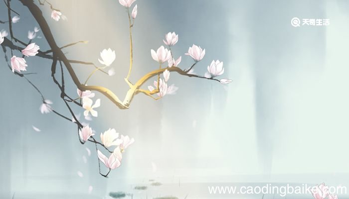 送无二使安西使的意思 送无二使安西使是什么意思