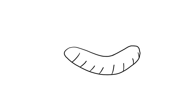 热狗简笔画怎么画怎么画热狗简笔画