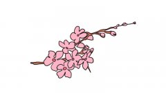 樱花简笔画的教程樱花简笔画的画法
