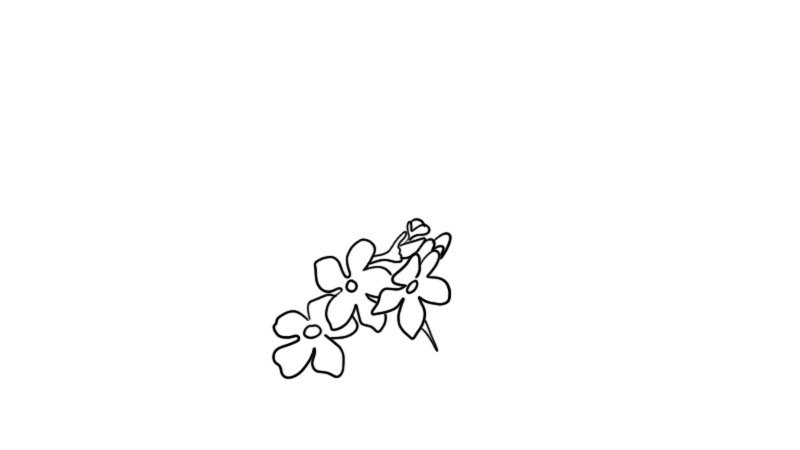 樱花简笔画的教程樱花简笔画的画法