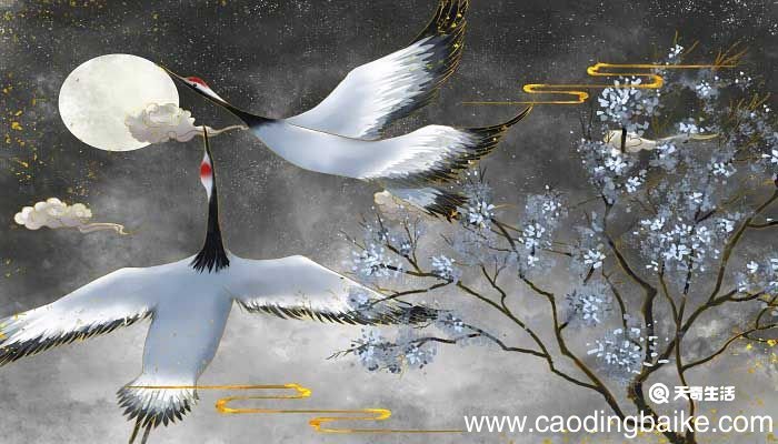 徐孺子的回答妙在哪里 徐孺子赏月文言文中徐孺子的回答妙在哪里