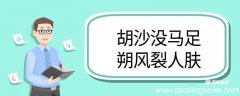 胡沙没马足朔风裂人肤翻译 胡沙没马足朔风裂人肤的翻译