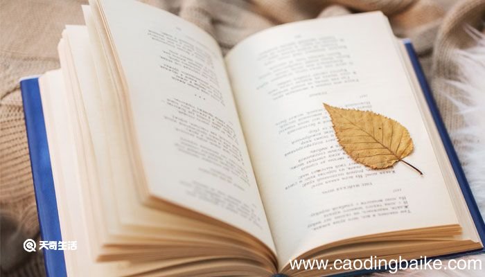 小信诚则大信立的意思 韩非子小信诚则大信立的意思