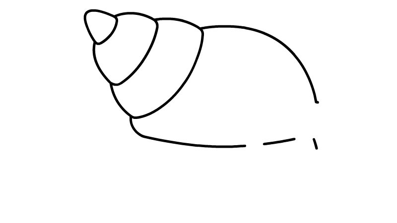 海蜗牛简笔画教程海蜗牛简笔画画法