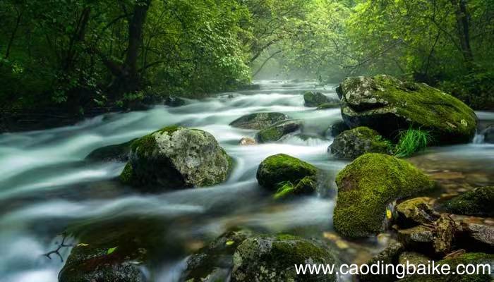 喝水的声音拟声词 形容喝水的声音拟声词