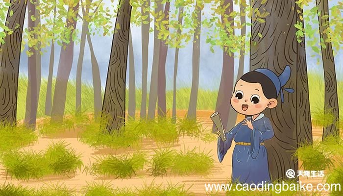 核舟记的说明顺序 核舟记的说明顺序是什么