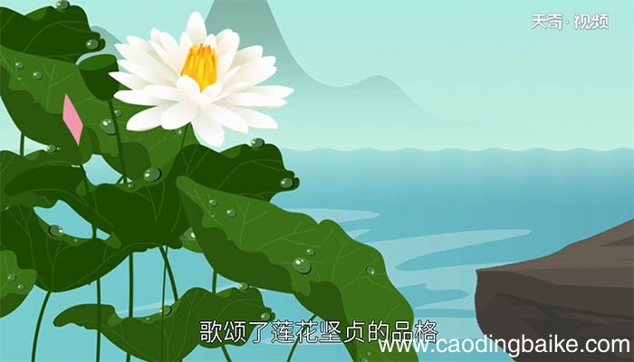 予独爱莲之出淤泥而不染濯清涟而不妖的意思 予独爱莲之出淤泥而不染濯清涟而不妖是什么意思