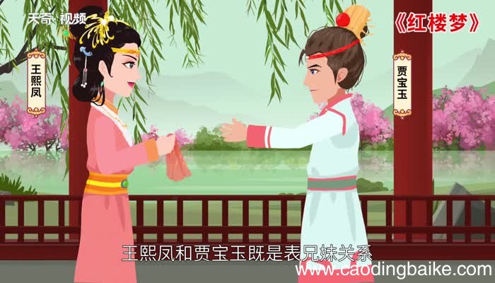 王熙凤和贾宝玉的关系红楼梦中王熙凤和贾宝玉是什么关系