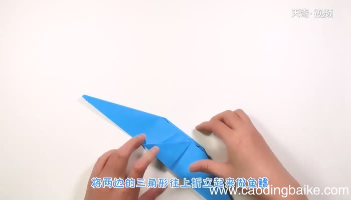 简单的鲨鱼怎么折 鲨鱼宝宝的折法