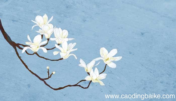 玉兰花开的诗句 玉兰花开的唯美诗句