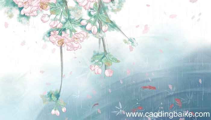 花非花雾非雾比喻什么 花非花雾非雾比喻什么意思