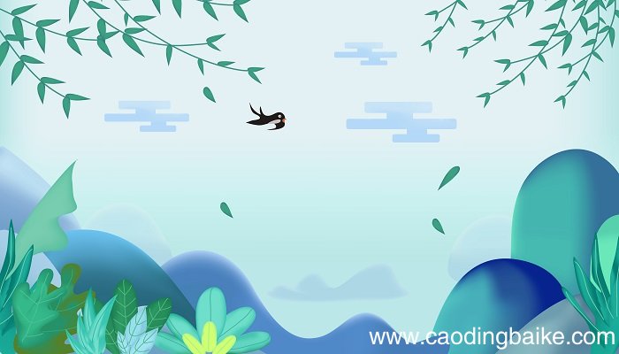 咏柳是把柳树比作什么 咏柳是把柳树比作什么东西